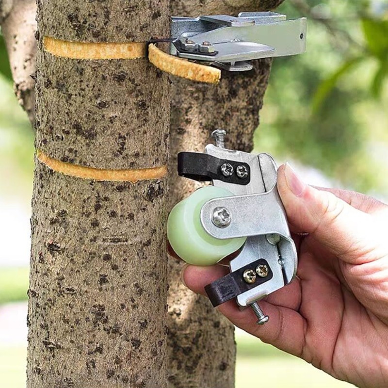 Gardening Tools Knife - 1PC ガーデニングツール庭の樹皮剥離ツール庭の鋏剪定樹皮切断ツール果樹耐摩耗性植物果樹園