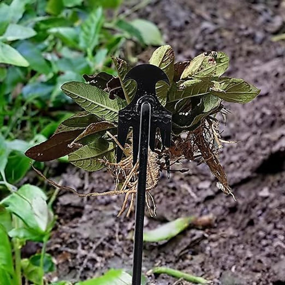 4 歯 - 庭用多機能ハンド除草機 - 耐久性とポータブル庭 - Gardening Tools For Weeds のレビューと価格