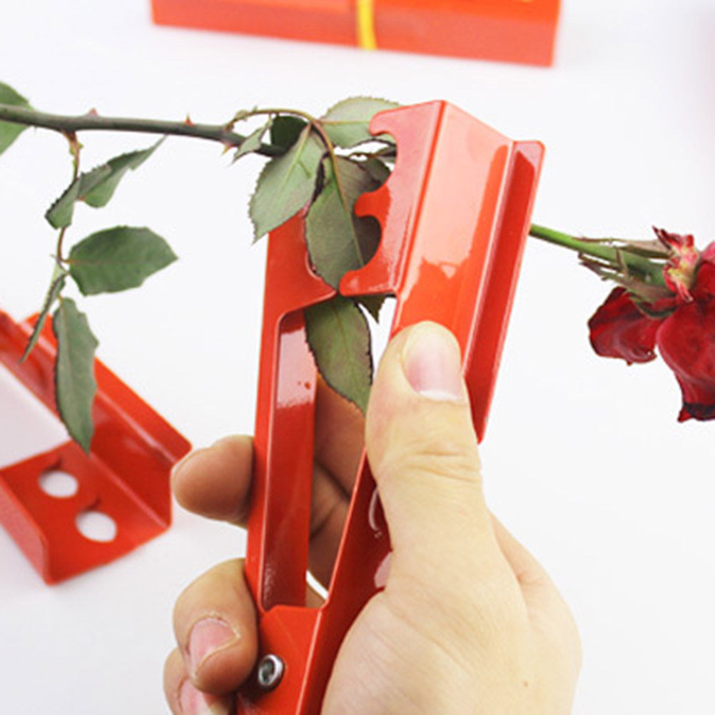 バラの棘を処理するためのユニークなデザインの園芸用具。葉の茎 - Gardening Tools Unique のレビューと価格
