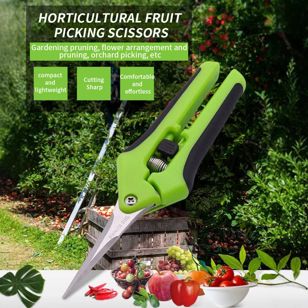 先端が尖った果物摘み取り用ハサミ 1個入り スプリングリセッ - Gardening Tools And Uses のレビューと価格