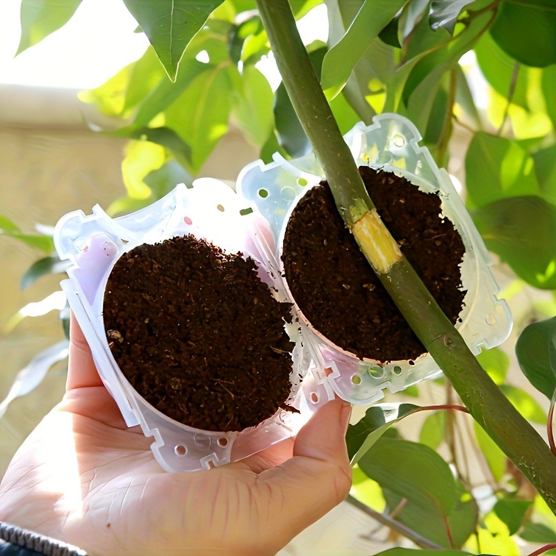 10個入り高圧植物発根繁殖ボックスキット、庭園用圧力ボール付 - Gardening Tools And Equipment のレビューと価格
