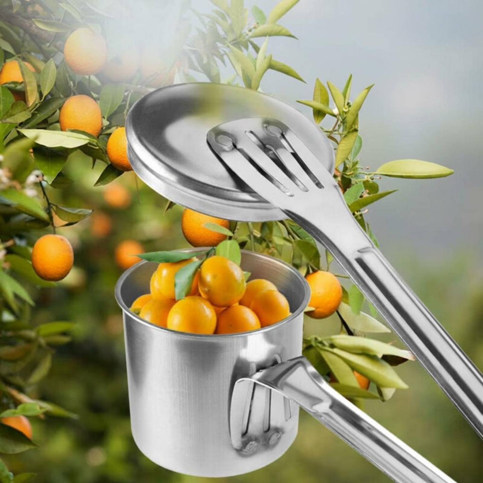 カップフルーツピッカー ステンレス鋼製フルーツピッキングツー - Gardening Tools And Uses のレビューと価格